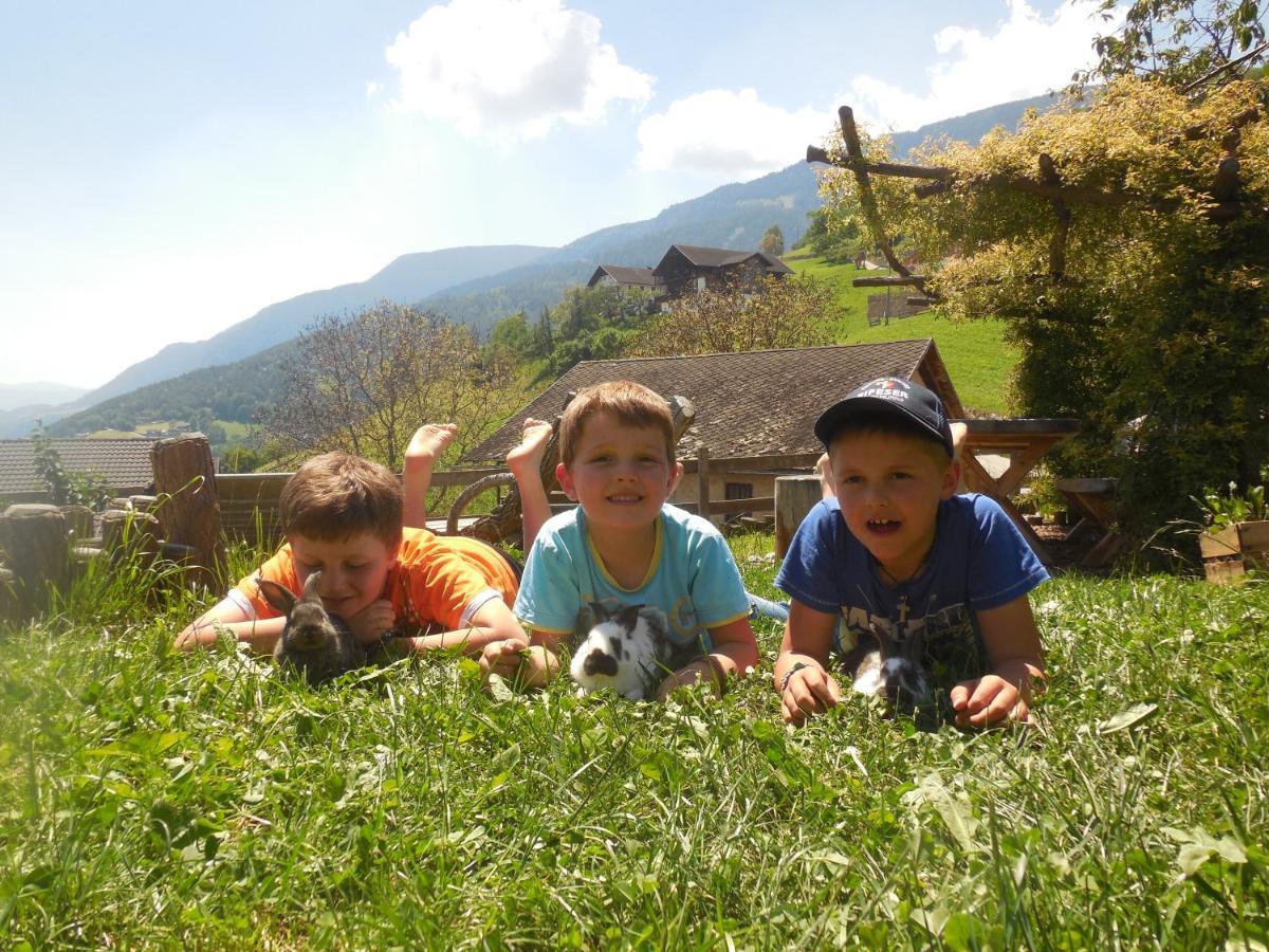 Schweiggerhof -Agriturismo- Farm Holidays Villandro Exterior photo
